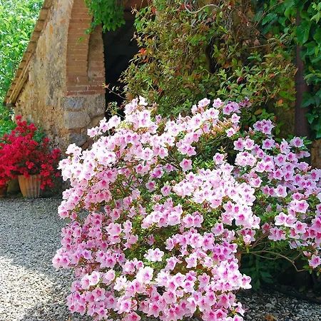 Tatil Evi Borgo Dei Fondi Siena